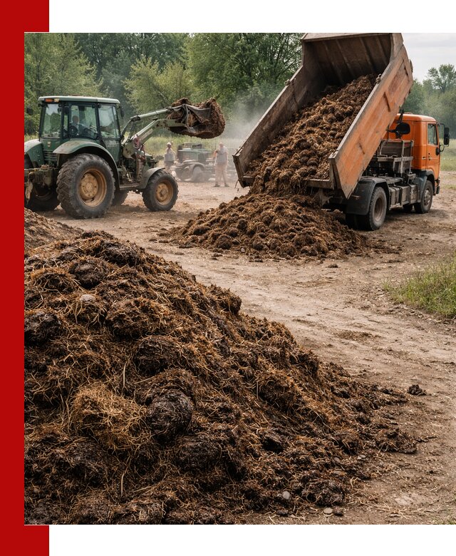 Доставка навоза самосвалами в Краснокаменске для сельхозпотребностей